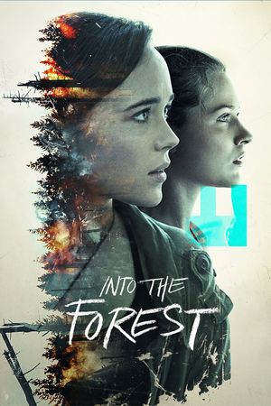 Into the Forest's poster