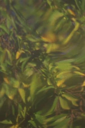 When Light is Displaced's poster
