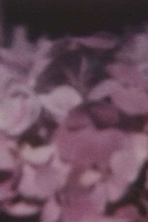 TOKIMEKI, DOKKIN's poster