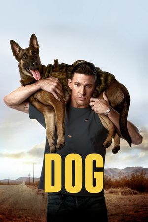 Dog's poster