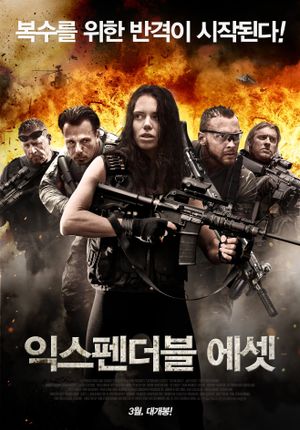 Expendable Assets's poster image