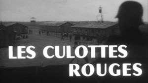 Red Culottes's poster