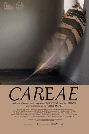CAREAE's poster