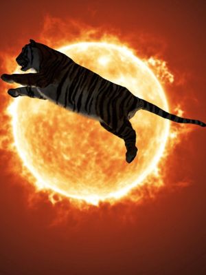 One or Several Tigers's poster