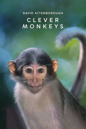 Clever Monkeys's poster