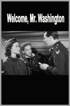 Welcome Mr Washington's poster