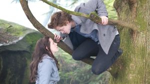 Twilight's poster