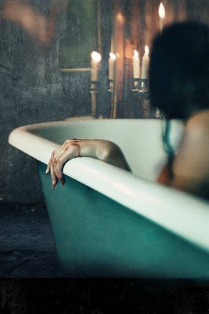 The Mistress's poster
