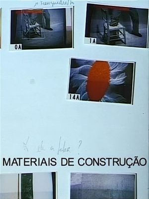 Building Materials's poster image