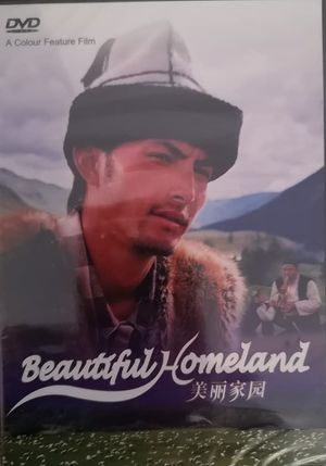美丽家园's poster