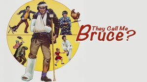 They Call Me Bruce's poster