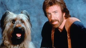 Top Dog's poster