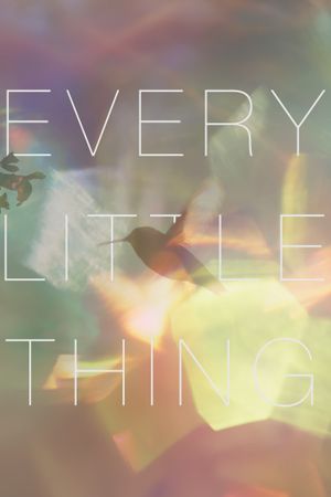 Every Little Thing's poster