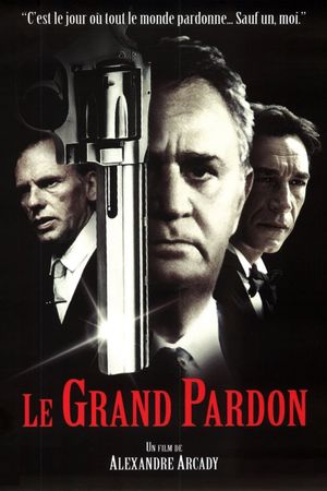 The Big Pardon's poster image