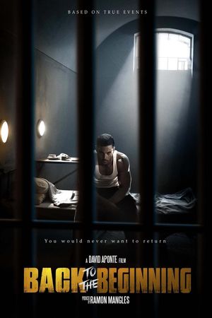 Back to the Beginning's poster