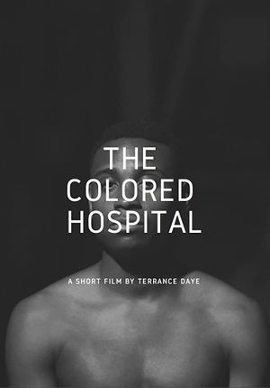 The Colored Hospital: A Visual Poem's poster