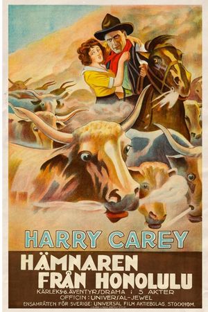 The Outlaw and the Lady's poster
