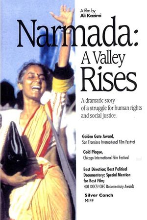 Narmada: A Valley Rises's poster