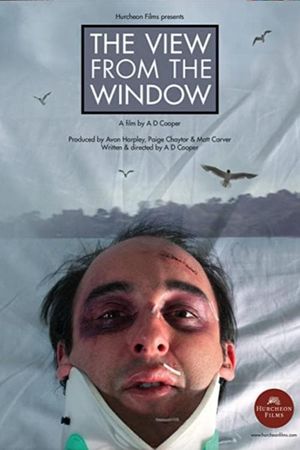 The View From The Window's poster