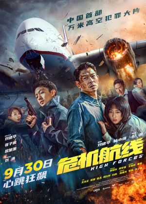 High Forces's poster
