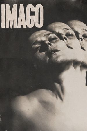 Imago's poster