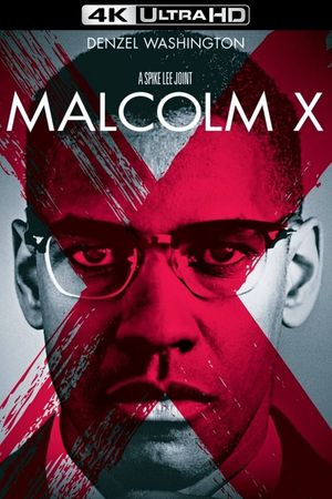 Malcolm X's poster