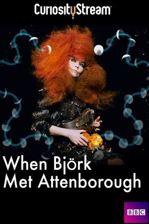 When Björk Met Attenborough's poster