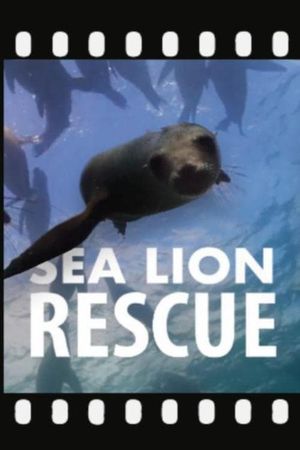Sea Lion Rescue's poster