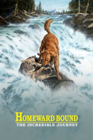 Homeward Bound: The Incredible Journey's poster