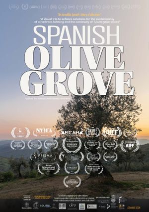 Spanish Olive Grove's poster