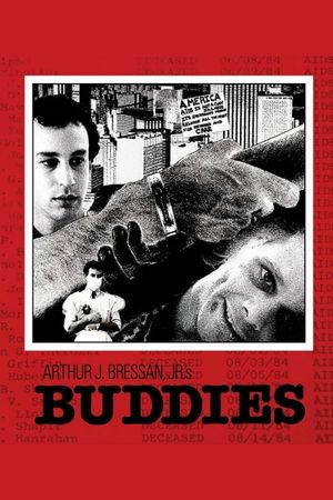 Buddies's poster