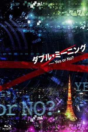 Double Meaning: Yes or No?'s poster