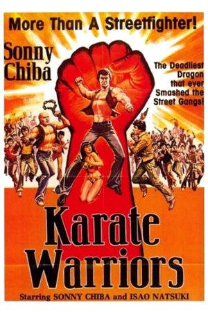 Karate Warriors's poster image