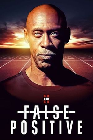 False Positive's poster