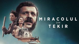 The Miracle of Tekir's poster