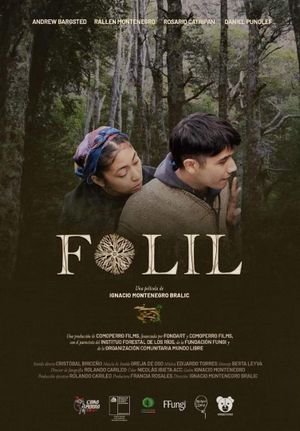 Folil's poster