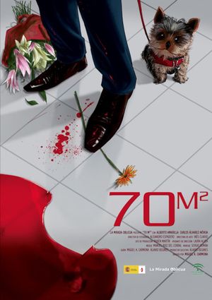 70m2's poster