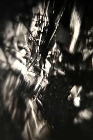Chaos Is Order Misunderstood's poster