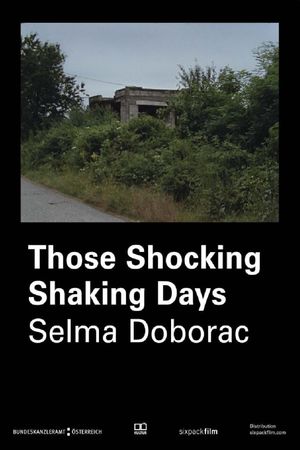 Those Shocking Shaking Days's poster