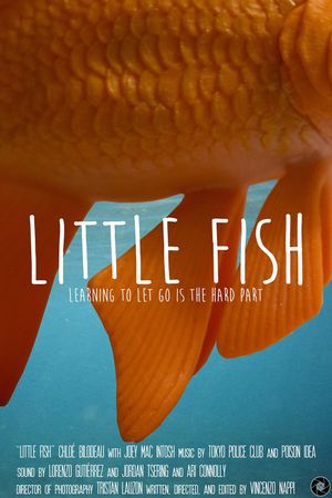 Little Fish's poster