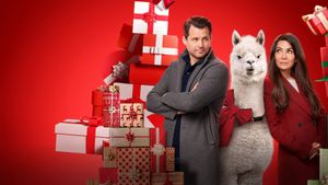 We Wish You a Married Christmas's poster