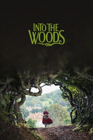 Into the Woods's poster