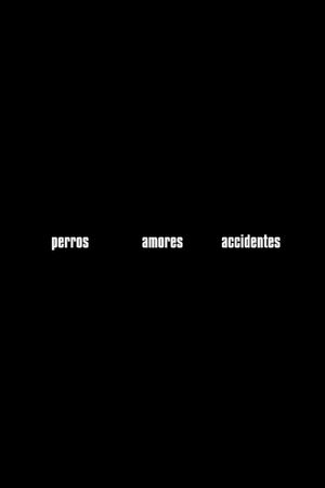 Perros, amores, accidentes's poster