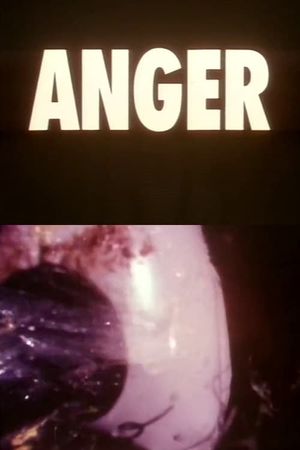 Anger's poster image