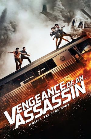 Vengeance of an Assassin's poster