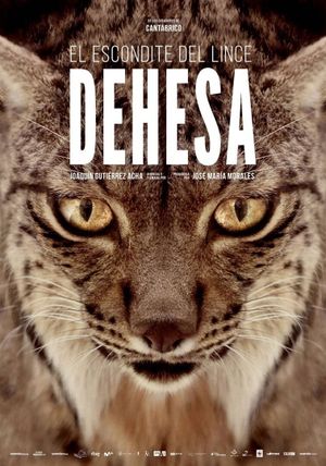 Dehesa - Forest of the Iberian Lynx's poster