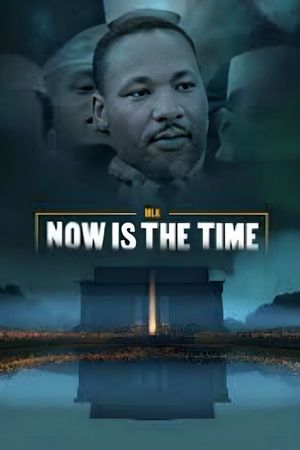 MLK: Now Is the Time's poster image