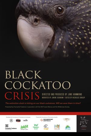 Black Cockatoo Crisis's poster