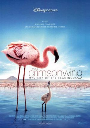 The Crimson Wing: Mystery of the Flamingos's poster