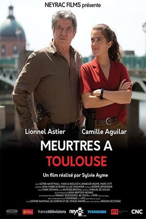 Murders In Toulouse's poster